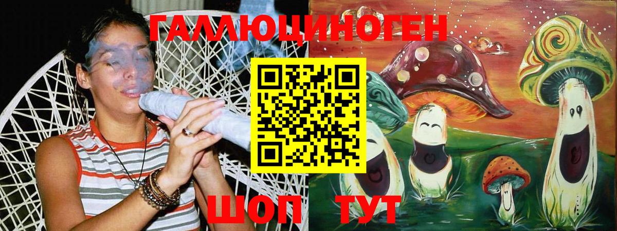Галлюциногенные грибы GOLDEN TEACHER Йошкар-Ола